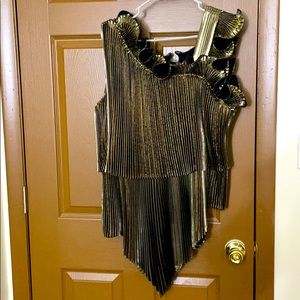 Pleated ruffle metallic blouse